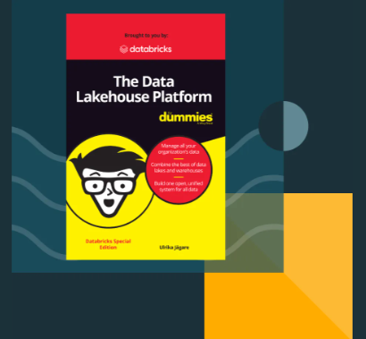 The Data Lakehouse Platform For Dummies